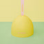 Vetreska Fruity Kitty Kove Litterbox-Grapefruit 西柚猫砂盆 - Destiny Pet
