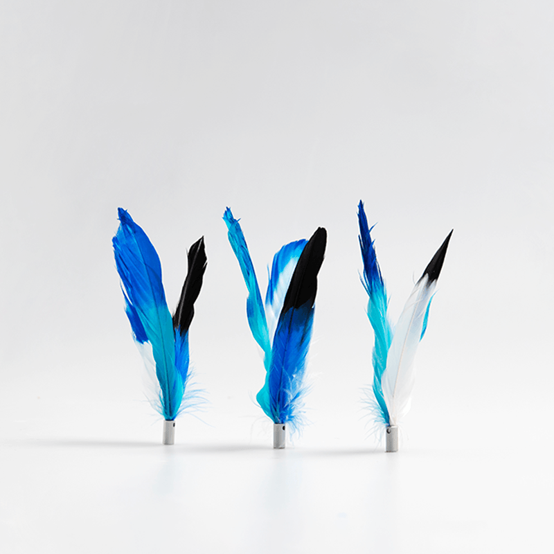 Pidan Cat teaser refill Feather type A2 - Destiny Pet