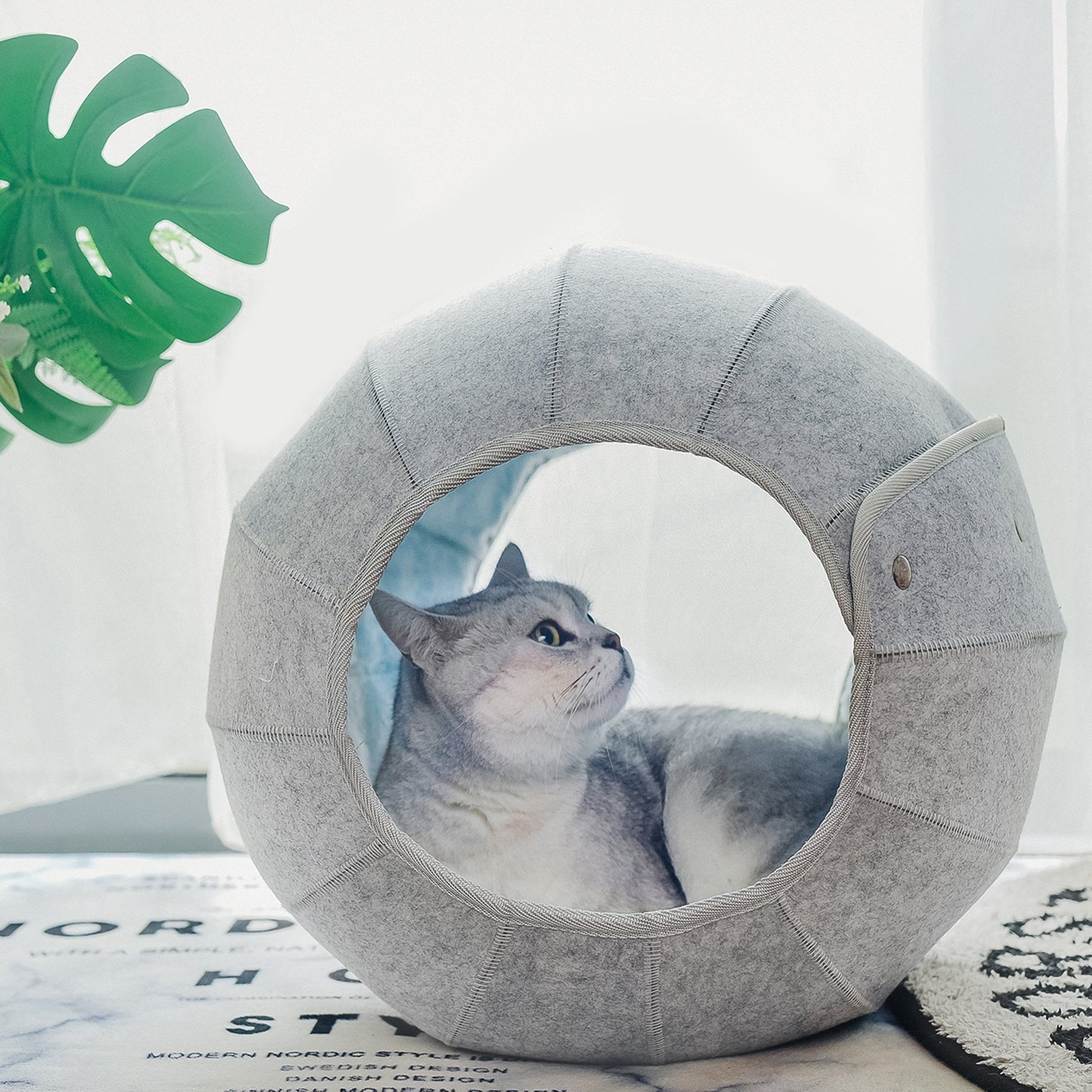 K.1 D.Ball Cat Bed Fun Nest Foldable Transformable Washable Scratch Resistant Cat Cave龙珠 - Destiny Pet