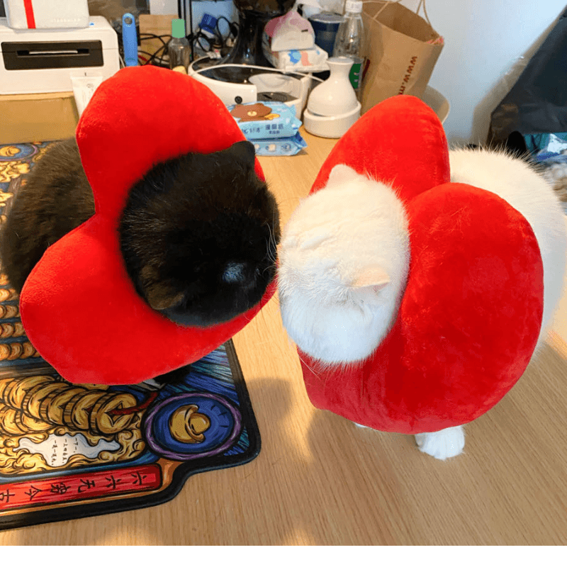 Bigger Fish heart cat Elizabeth collar - original product image 3