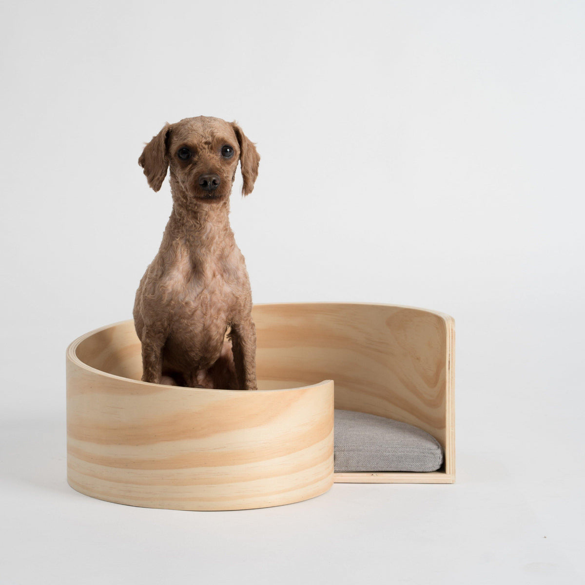 Pidan Pet bed Cat’s bed Spiral type - Destiny Pet