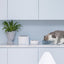 Furrytail Antibacterial Stainless Steel Cat Bowl 波波单碗 - Destiny Pet