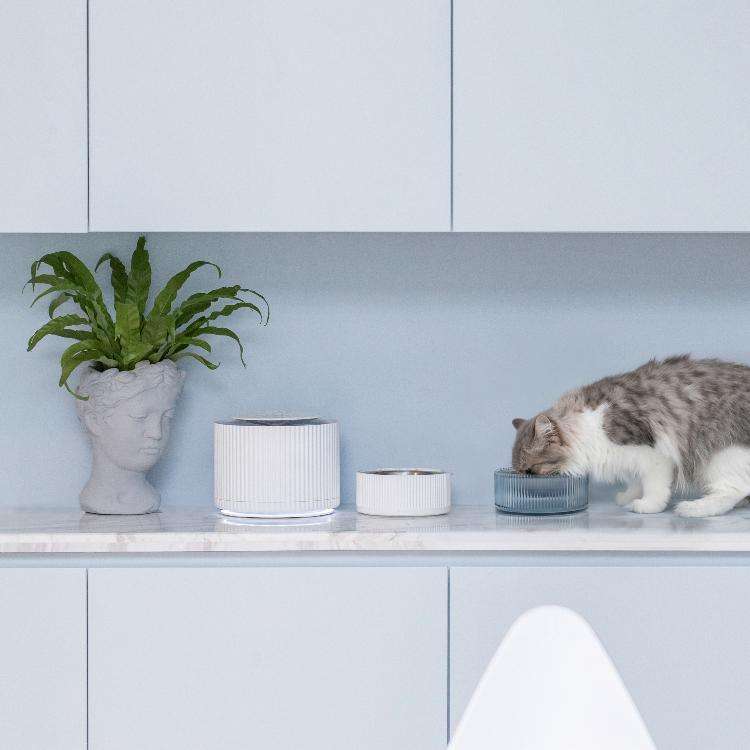 Furrytail Antibacterial Stainless Steel Cat Bowl 波波单碗 - Destiny Pet