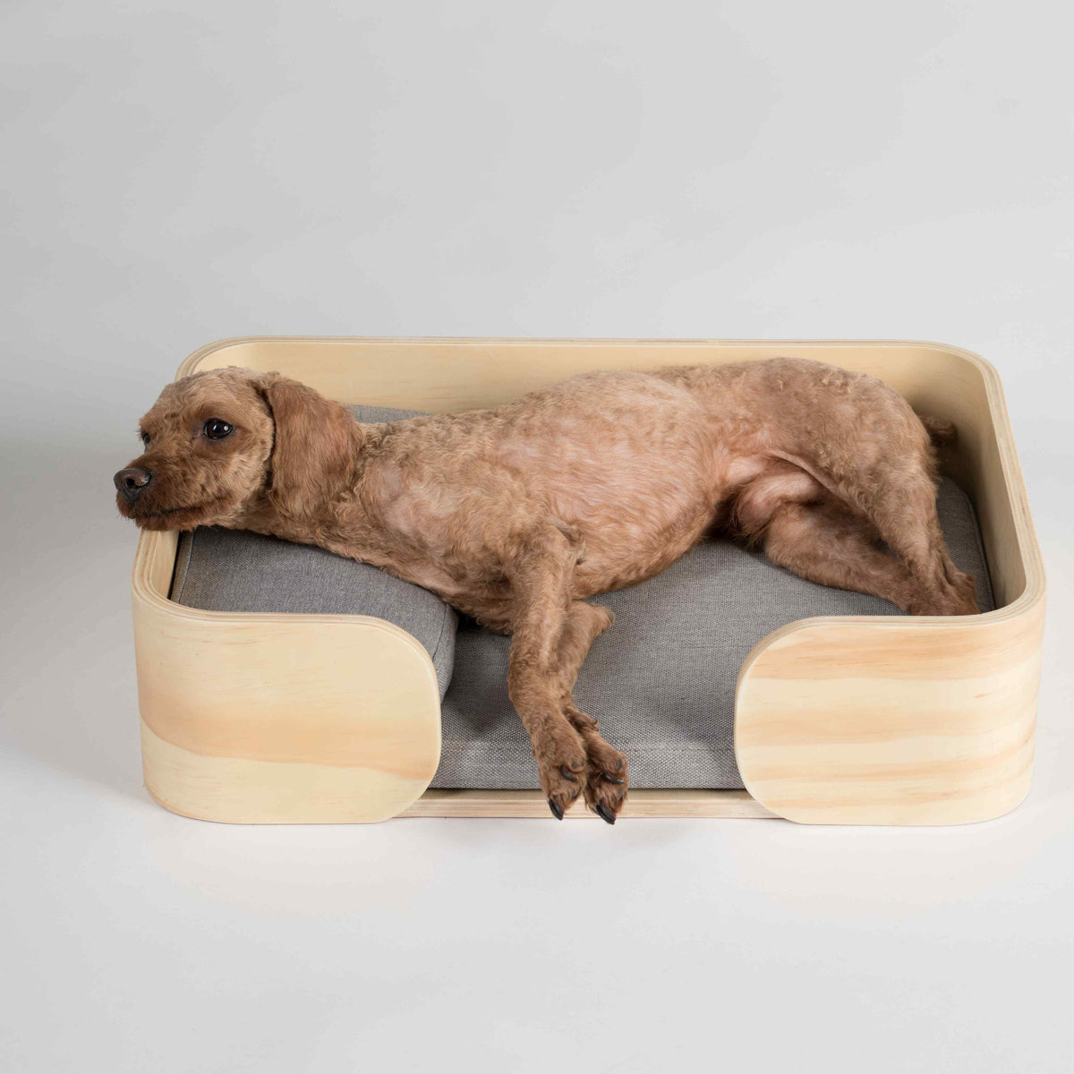 Pidan Pet bed Cat’s bed Rectangular type - Destiny Pet
