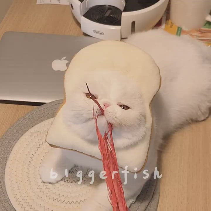 Bigger Fish toast cat Elizabeth collar - original product image 2