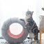 K.1 D.Ball Cat Bed Fun Nest Foldable Transformable Washable Scratch Resistant Cat Cave龙珠 - Destiny Pet