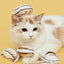Cat surrounded by Vetreska Chinese dim sum plush cat toys