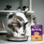 Stella&Chewy's Wet Food CAGE-FREE TURKEY MORSELS - Destiny Pet