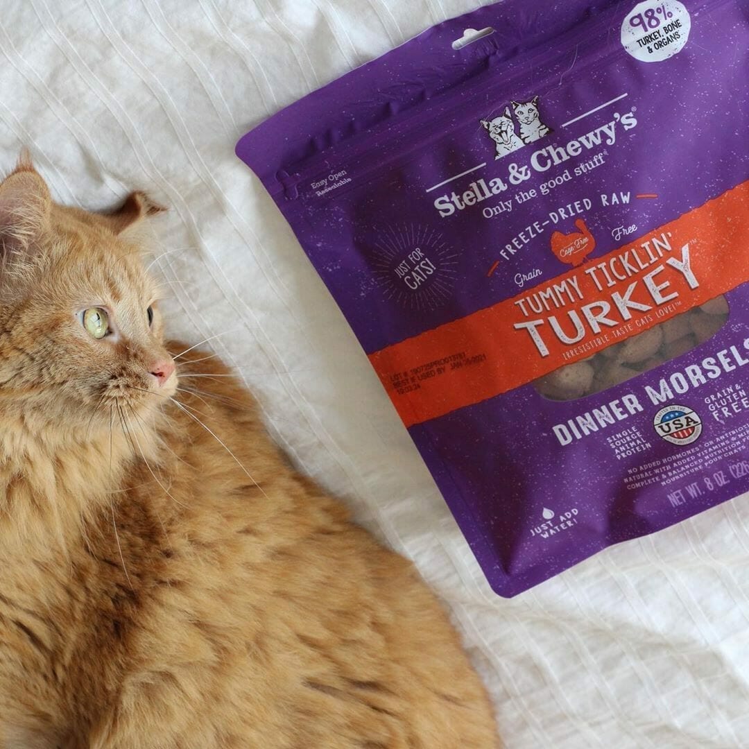 Stella&Chewy's Freeze Dried Raw TUMMY TICKLIN’ TURKEY FREEZE-DRIED RAW DINNER MORSELS - Destiny Pet