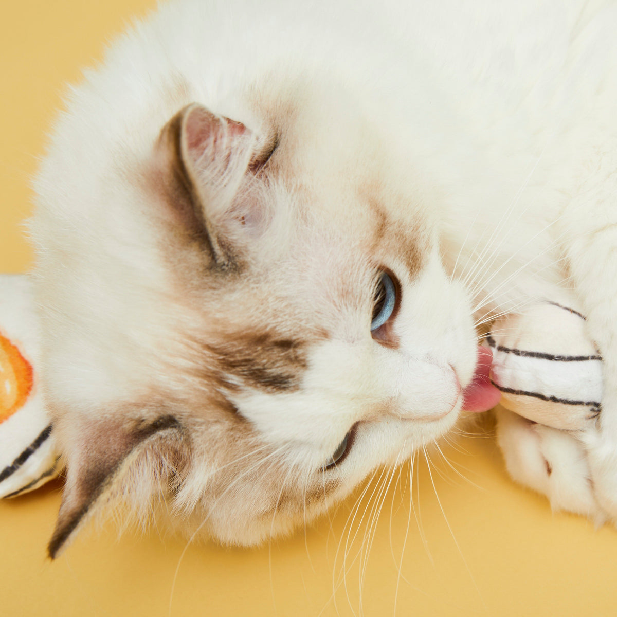 Cat playing with a Vetreska Chinese dim sum plush cat toy