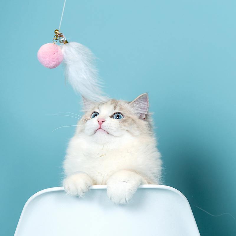 Aiwo multifunctional cat teaser - original product image 6