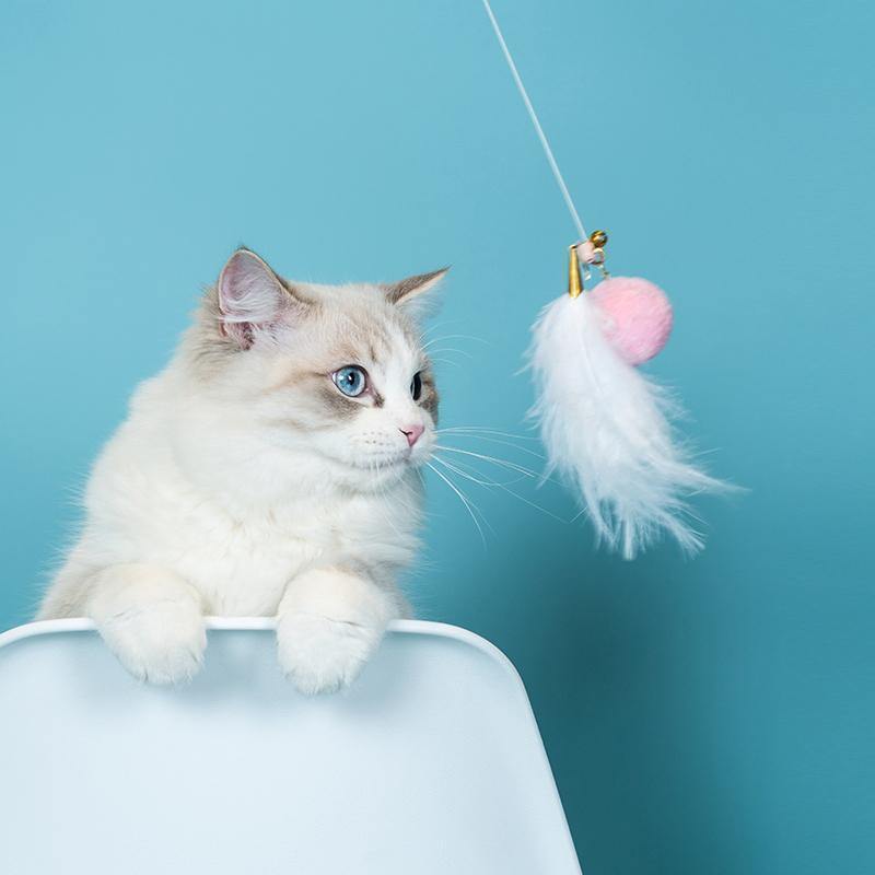 Aiwo multifunctional cat teaser - original product image 7