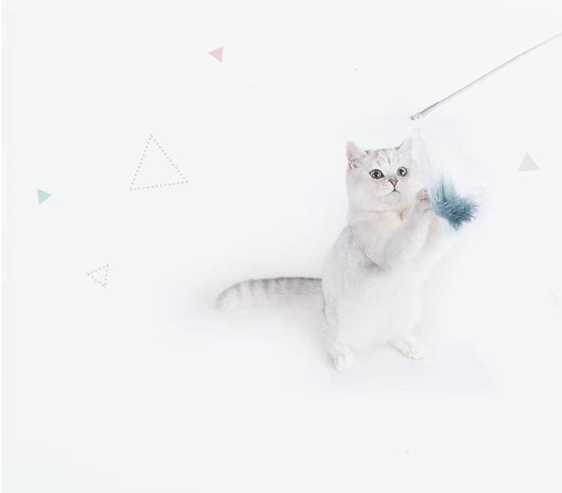 Pidan A4 - Destiny Pet