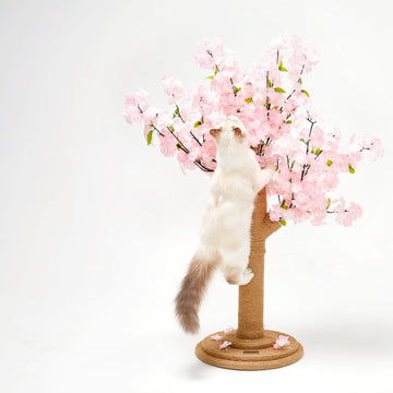 Vetreska Sakura Cat Tree 樱花树猫抓柱爬架 - Destiny Pet