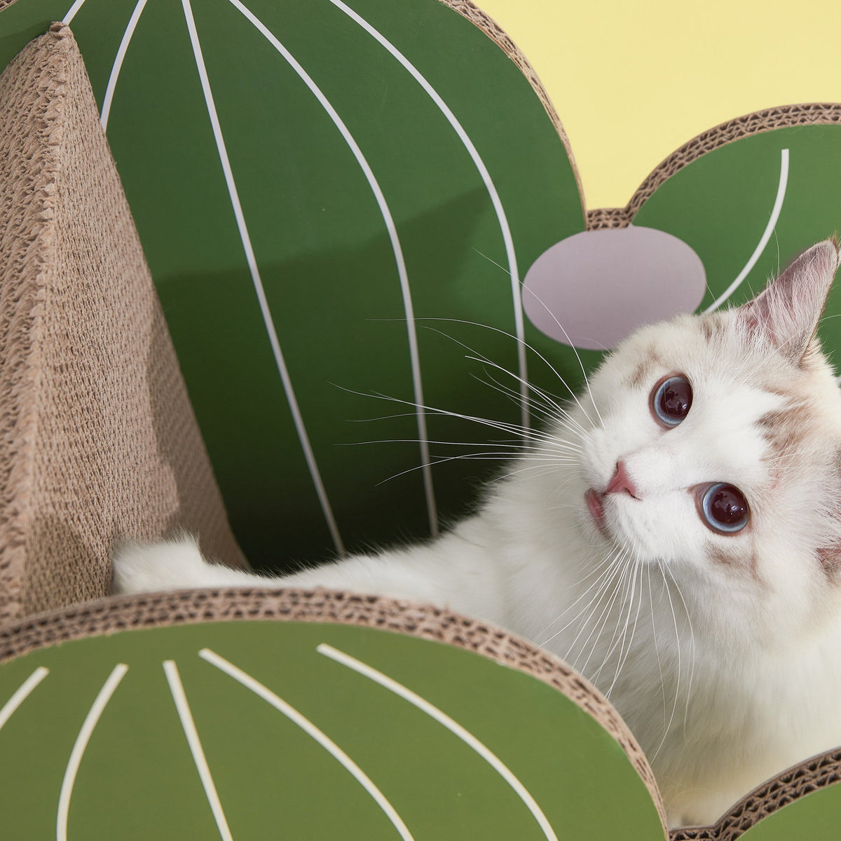 Vetreska Oasis Cactus Cat Scratcher product image 13