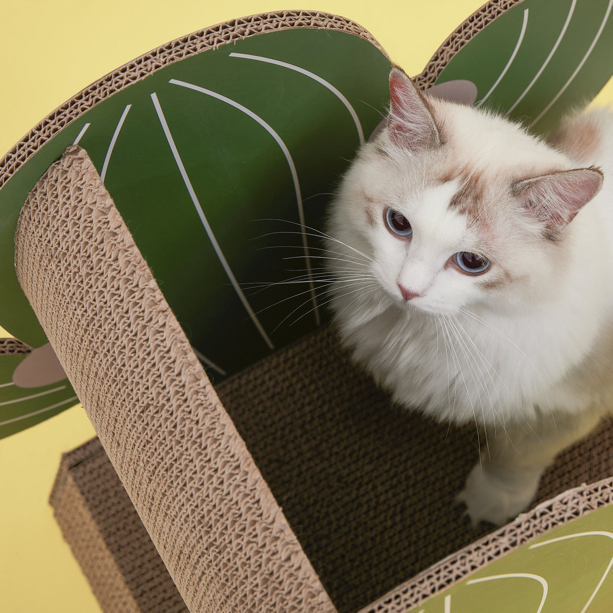 Vetreska Oasis Cactus Cat Scratcher product image 12