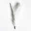 Pidan Cat Teaser Wand with Wooden Handle - Destiny Pet