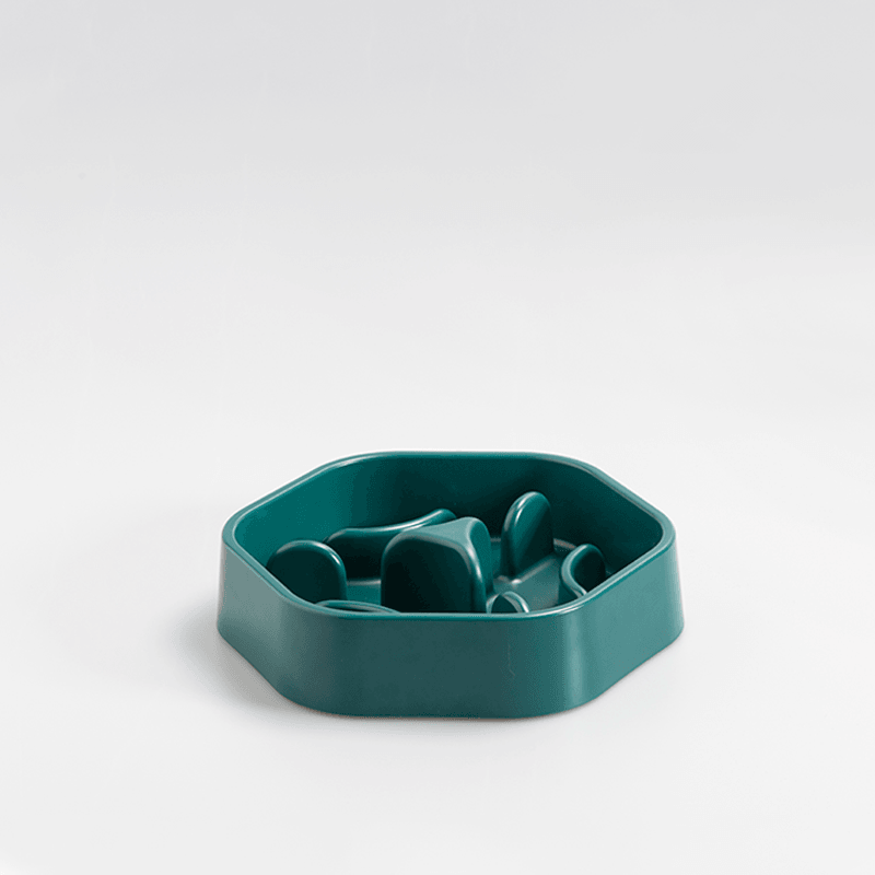Pidan Pet bowl Forest type - Destiny Pet