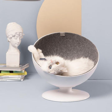 Furrytail Boss Cat Bed white elevated bowl bed with cat