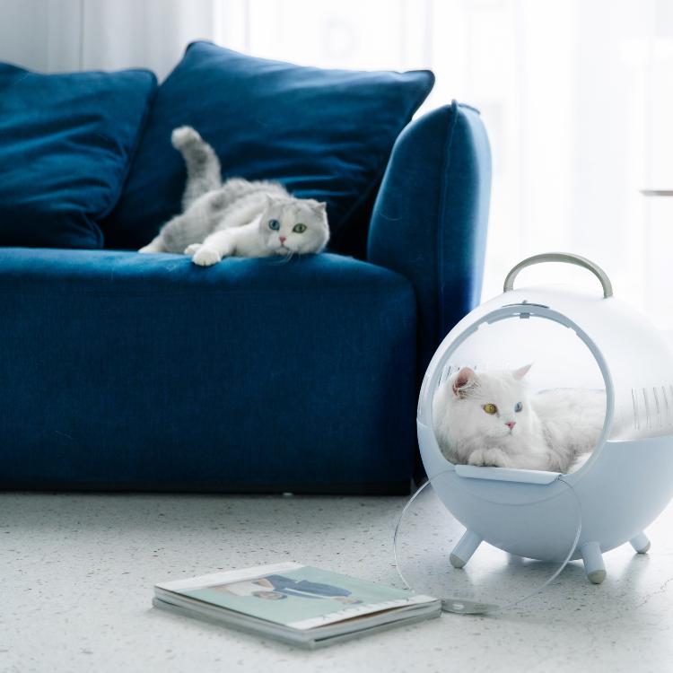 Furrytail Space Capsule Cat Carrier | Cat Capsule Bag| Car Pet Carrier 猫的移动城堡 - Destiny Pet
