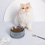 Furrytail Antibacterial Stainless Steel Cat Bowl 波波单碗 - Destiny Pet