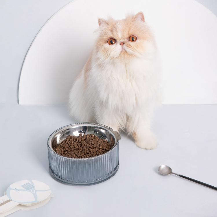 Furrytail Antibacterial Stainless Steel Cat Bowl 波波单碗 - Destiny Pet