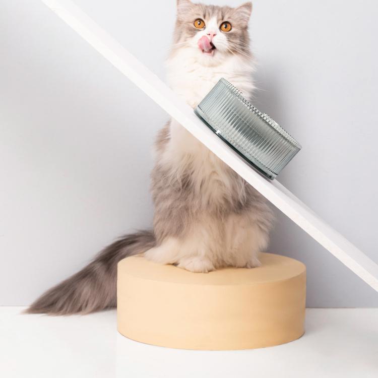 Furrytail Antibacterial Stainless Steel Cat Bowl 波波单碗 - Destiny Pet