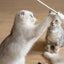 Pidan Cat Teaser Wand with Wooden Handle - Destiny Pet