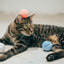 Pidan Toy ball - Destiny Pet
