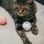 Pidan Toy ball - Destiny Pet