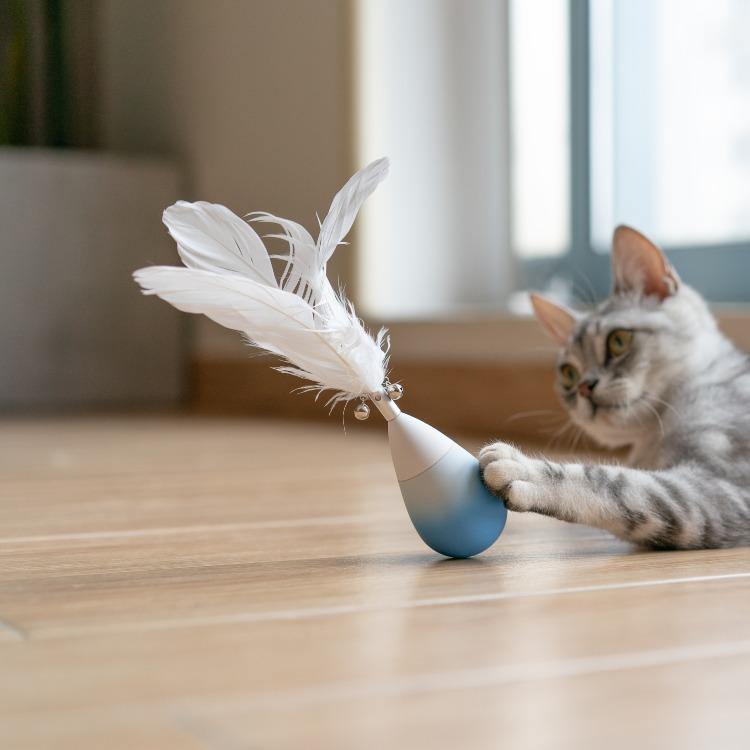 Pidan "Tumbler" Cat Teasing Toy - Destiny Pet