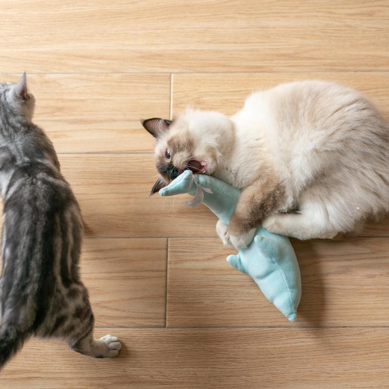 Pidan "Dolphin" Pet Plush Toy - Destiny Pet