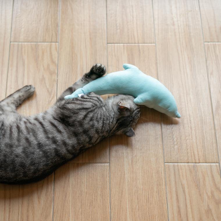 Pidan "Dolphin" Pet Plush Toy - Destiny Pet