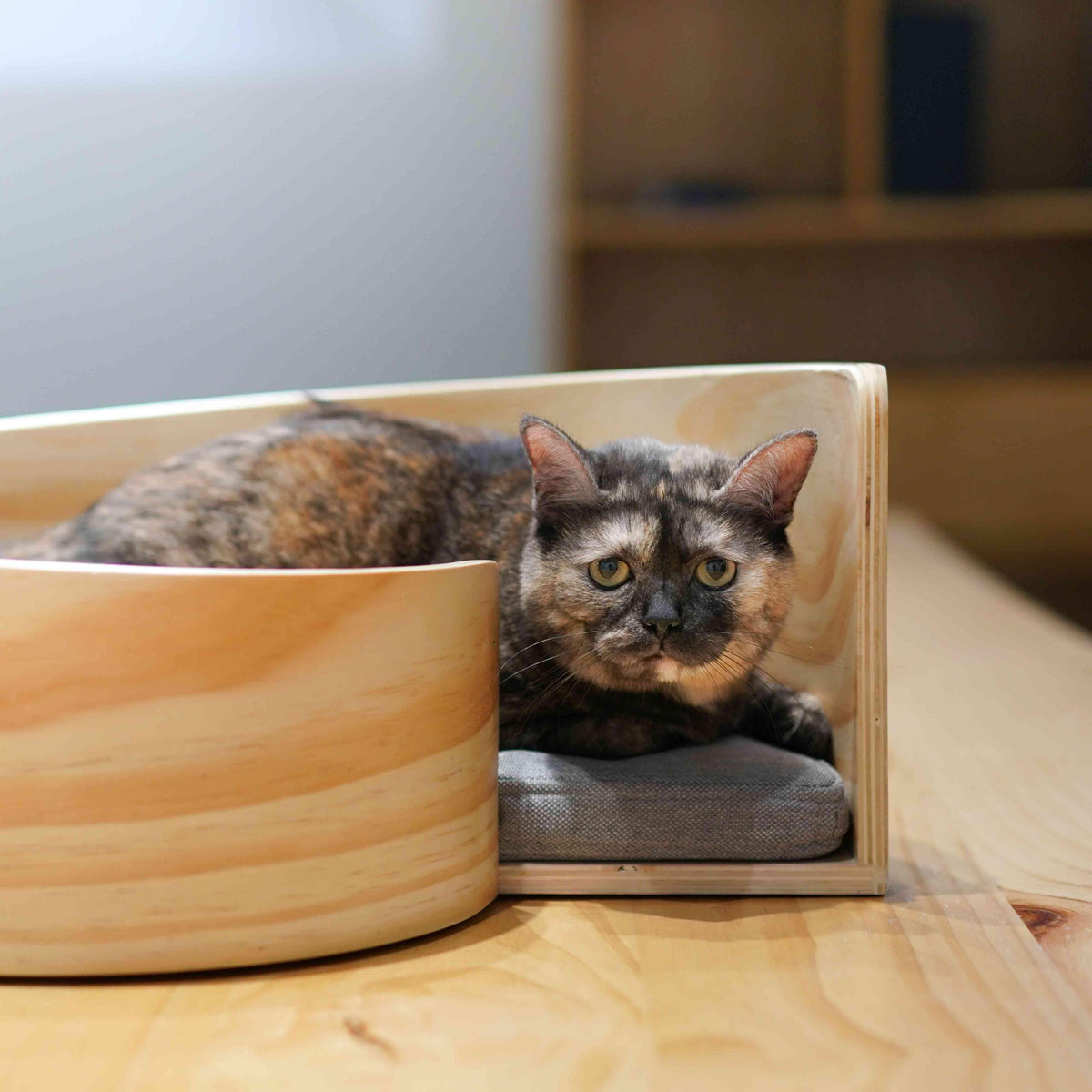 Pidan Pet bed Cat’s bed Spiral type - Destiny Pet