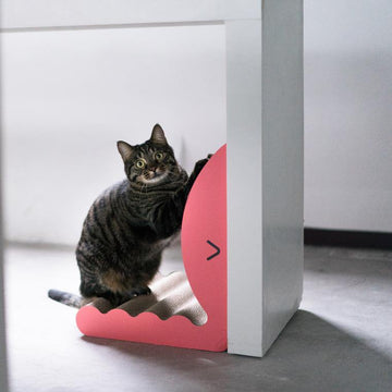 Pidan Cat Scratcher - Destiny Pet