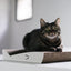 Pidan Cat Scratcher - Destiny Pet