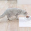 PidanPet place mat Rhombus type - Destiny Pet