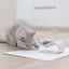 PidanPet place mat Rhombus type - Destiny Pet