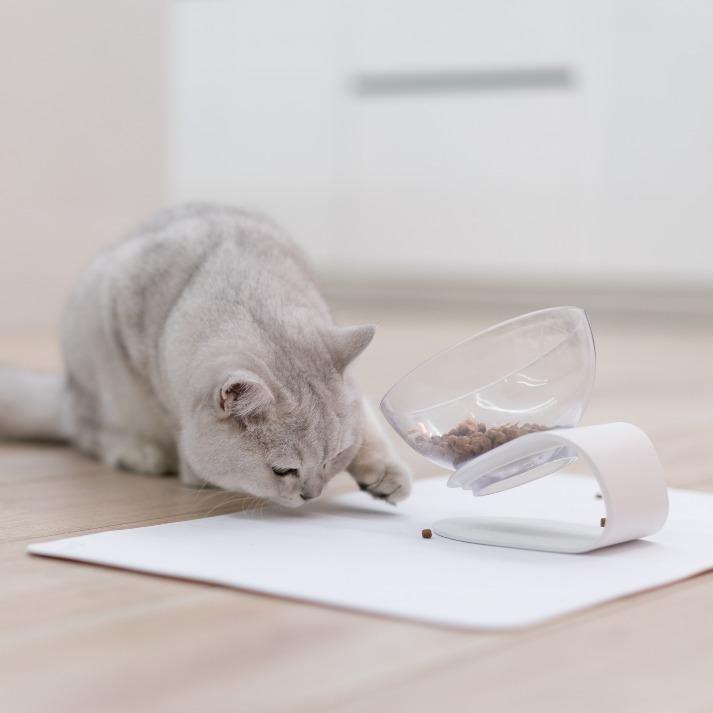 PidanPet place mat Rhombus type - Destiny Pet