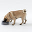 Pidan "Volcano" Pet Bowl - Destiny Pet