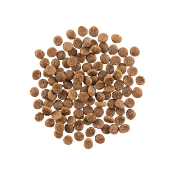Go！ CARNIVORE GRAIN-FREE SALMON + COD RECIPE CAT FOOD product image 2