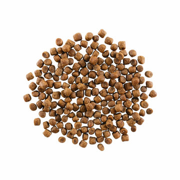 Go！ SKIN + COAT CARE CHICKEN RECIPE WITH GRAINS CAT FOOD product image 2