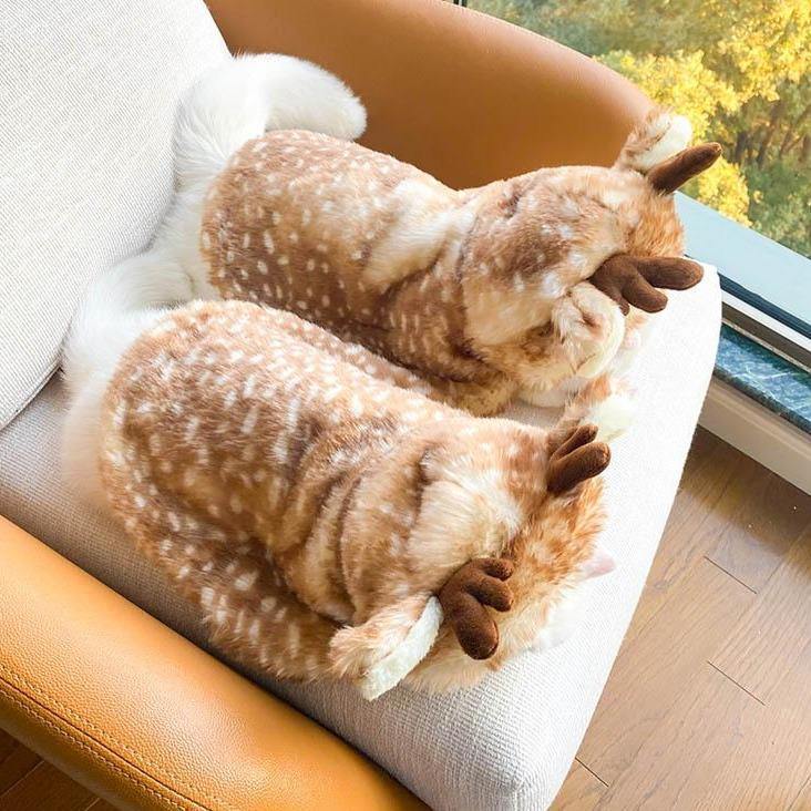 Bigger Fish deer cat cape - original product image 6