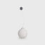 Pidan Pet toy Balloon type - Destiny Pet