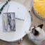 Pidan Cat teaser refill Combination type A3 - Destiny Pet