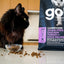 Go！ Carnivore GRAIN-FREE CHICKEN, TURKEY + DUCK RECIPE CAT FOOD