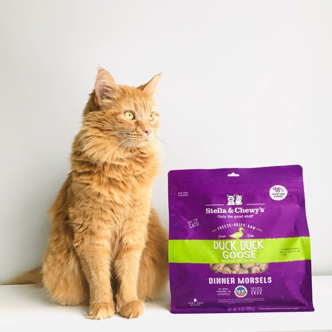 Stella&Chewy's Freeze Dried Raw DUCK DUCK GOOSE FREEZE-DRIED RAW DINNER MORSELS - Destiny Pet