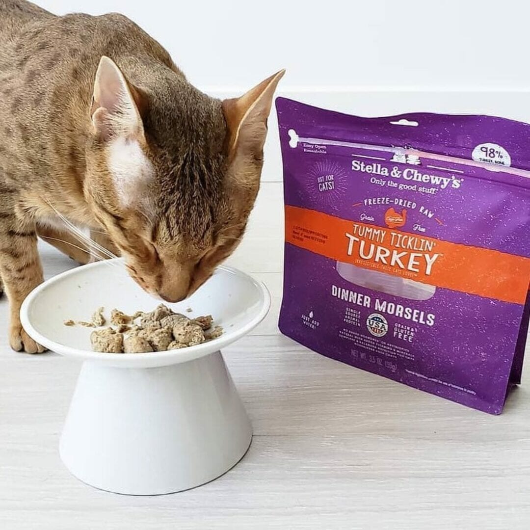 Stella&Chewy's Freeze Dried Raw TUMMY TICKLIN’ TURKEY FREEZE-DRIED RAW DINNER MORSELS - Destiny Pet