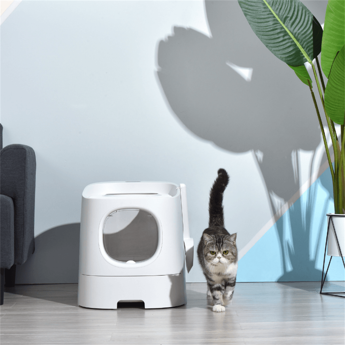 Homerun Cat Litter Box - size reference with a cat [Gallery: Shared]
