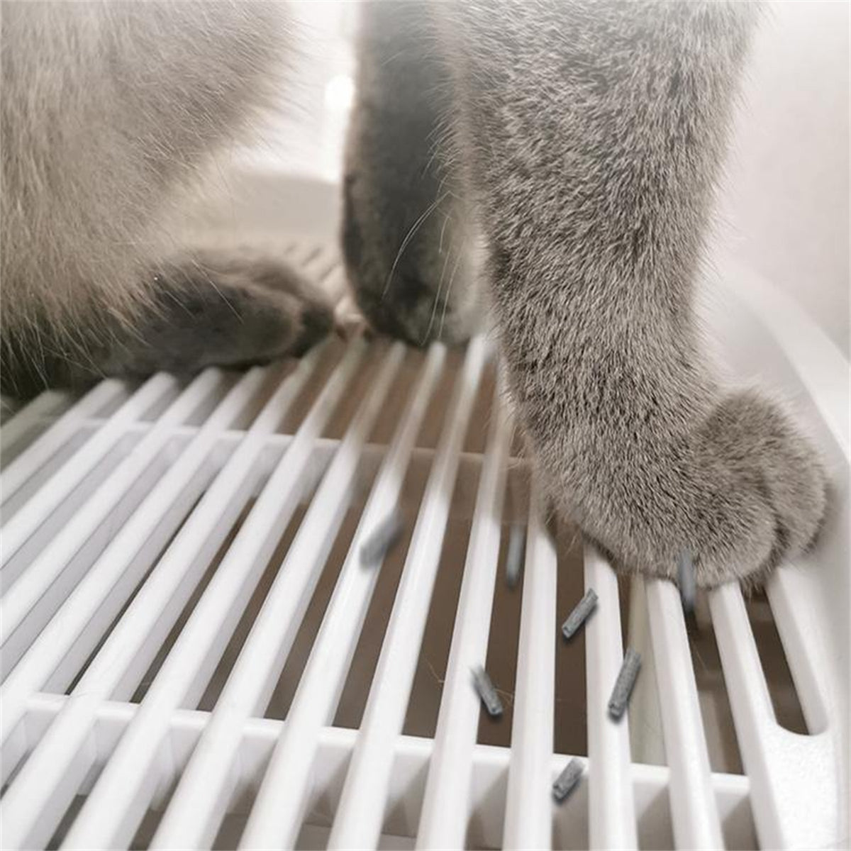 Homerun Cat Litter Box - grated top surface helps reduce litter tracking [Gallery: Shared]